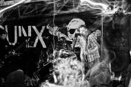 PUNX PIKNIK 2014