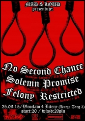 No Second Chance (UK), Solemn Promise (UK), Felony (DE), Restricted (PL)
