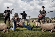 zdjęcie: 1347370465_Sheep_Photo_Official_small.jpg